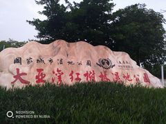 -大亚湾红树林城市湿地公园