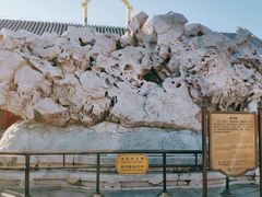 -颐和园