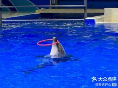 -石家庄极地海洋世界