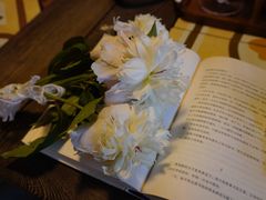 -时光花园(白鹭洲店)