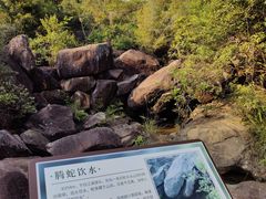 -广州白江湖森林公园