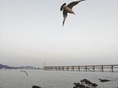 -黑石礁公园