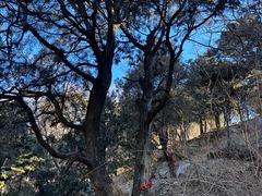 -泰山风景名胜区