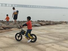 -宝安西湾红树林湿地公园