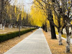 -元大都城垣遗址公园