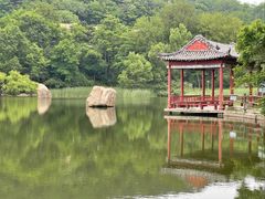 -鲁山国家森林公园