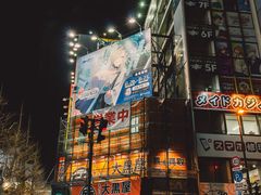 -秋叶原电器街