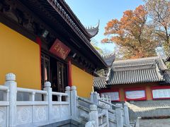 -灵谷景区