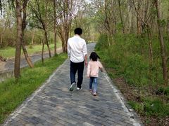 -溱湖国家湿地公园