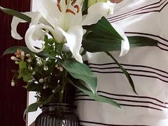 -溪岸路花鸟市场