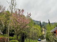 -太阳湾风景区