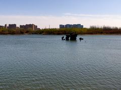 -大兴滨河森林公园