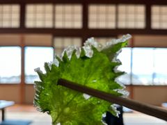 -京湯どうふ喜さ起
