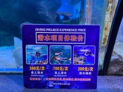 -太平洋海底世界