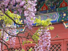 -北京国子监胡同