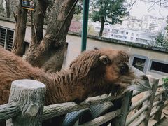 -昆明动物园