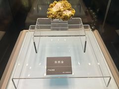 -安徽省地质博物馆