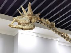 -游龙石文化科普馆