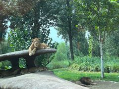 -北京野生动物园