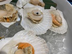-温州喜来登酒店-盛宴西餐厅