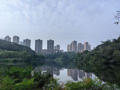-重庆彩云湖湿地公园
