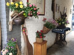 -寂照庵