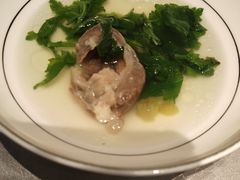 -沈灶河豚宴·河豚融合餐厅(汉中路店)