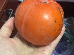 -溪口-滕头旅游景区