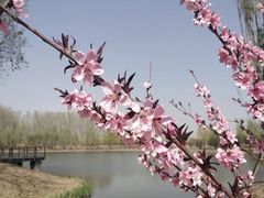 -东郊湿地公园