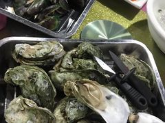 原汁蒸海岛生蚝-龙坛美食店