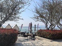 -望海·帆船主题咖啡厅•品茗下午茶(石湖景区店)
