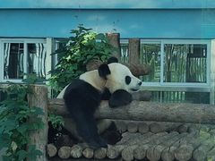 -大连森林动物园