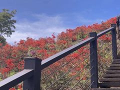 -瑞安圣井山景区