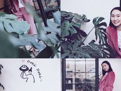 门面-dokidoki