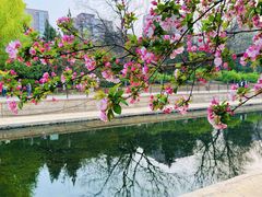 -元大都城垣遗址公园