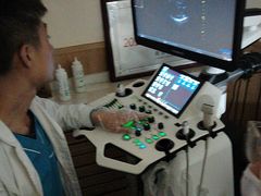 -瑞派宠物医院·24h·骨外科·皮肤科·全科宠物医疗转诊中心(沈阳浑南院)