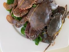 -上海南汇嘴大堤酒店
