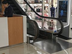 -巴黎春天(浦建店)