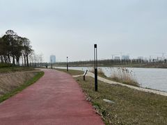 -春花秋色城市公园