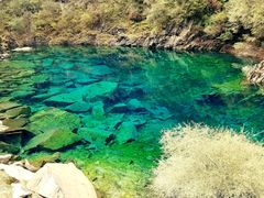 -叠溪松坪沟景区