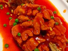 松鼠大桂鱼-绿波廊(豫园店)