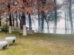 -瑶湖郊野森林公园