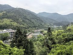 -芦茨金富饭庄·25年老字号·专做稻草鸡