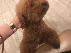 -新富特功夫足疗(华都园大厦店)