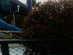 -上海玛雅海滩水公园