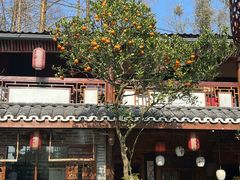 -青城甲(青城山店)