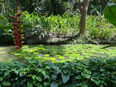 -中国科学院西双版纳热带植物园