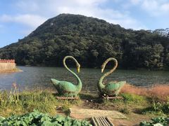 -广州市石门国家森林公园