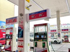 -金盾石化加油站(合肥路店)