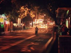 -猫咪博物馆(顶澳仔猫街店)